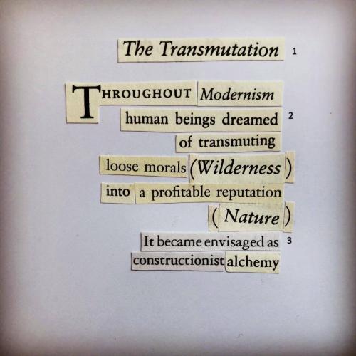 088 the-transumation